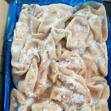精品羔羊羊肚
