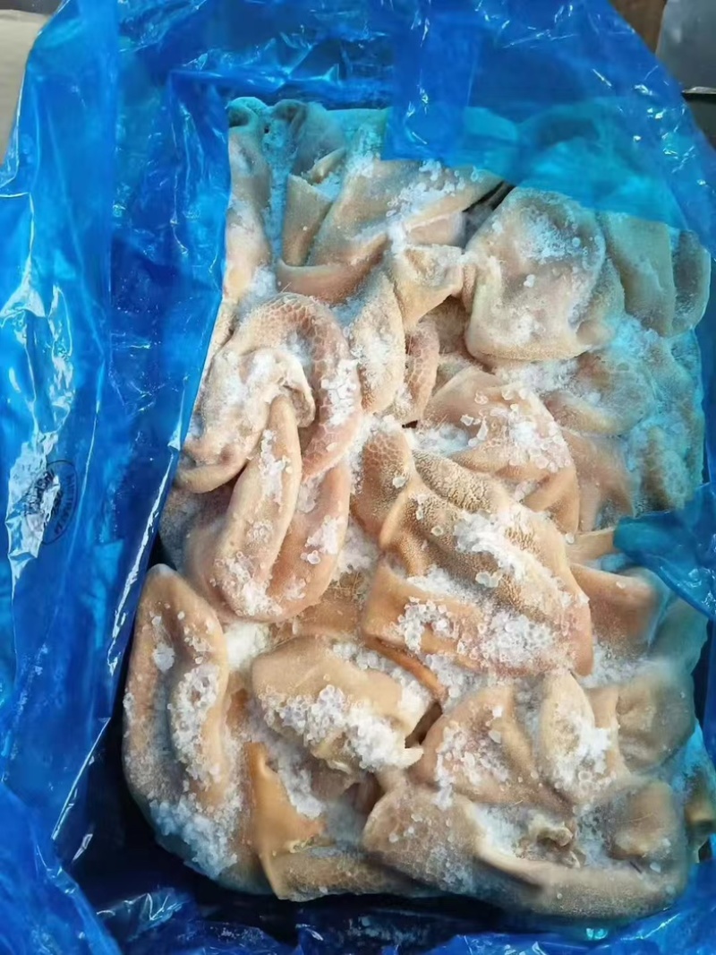 精品羔羊羊肚