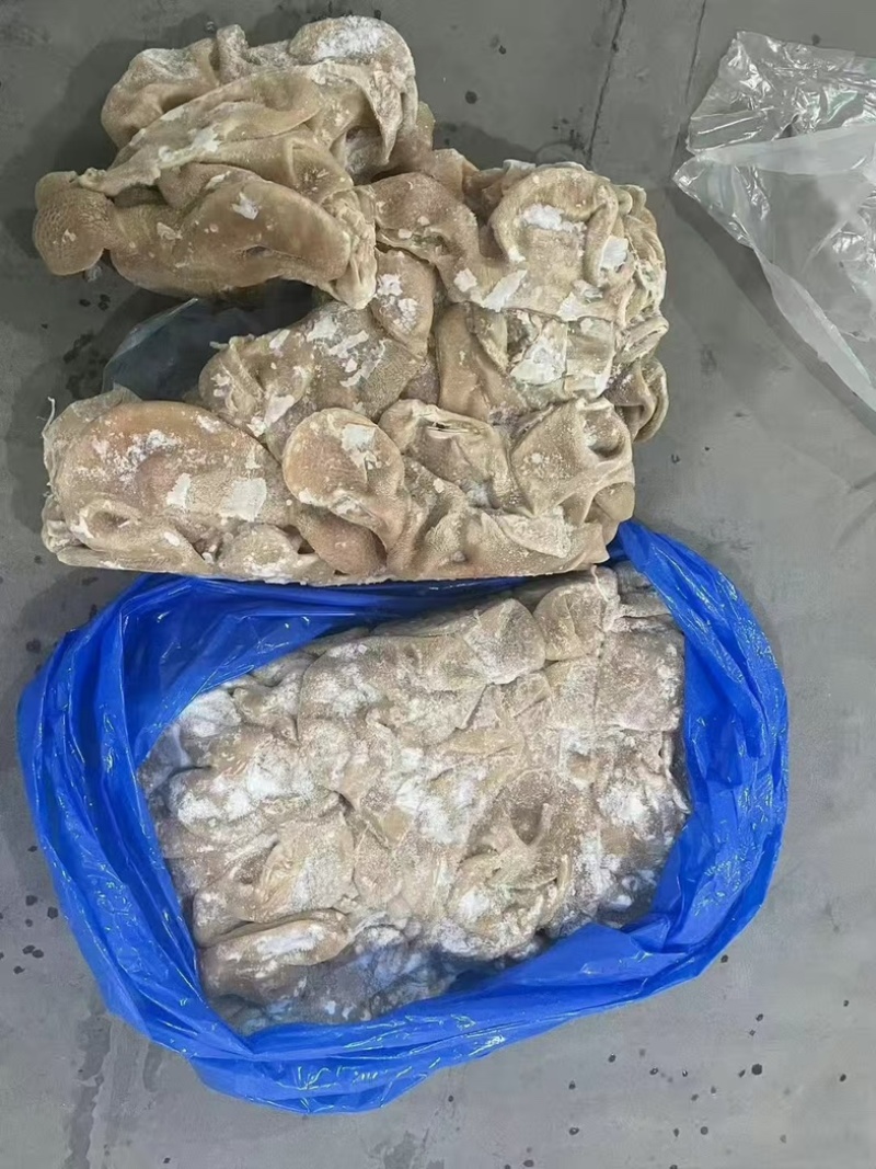 精品羔羊羊肚