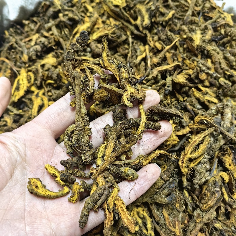 黄连黄连片四川鸡爪连精选