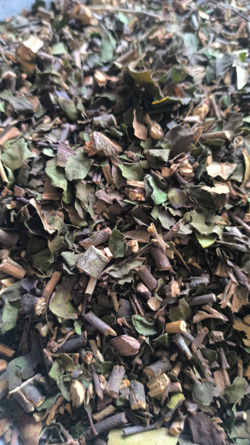 桑寄生中药材批发桑寄生质量保证量大从优