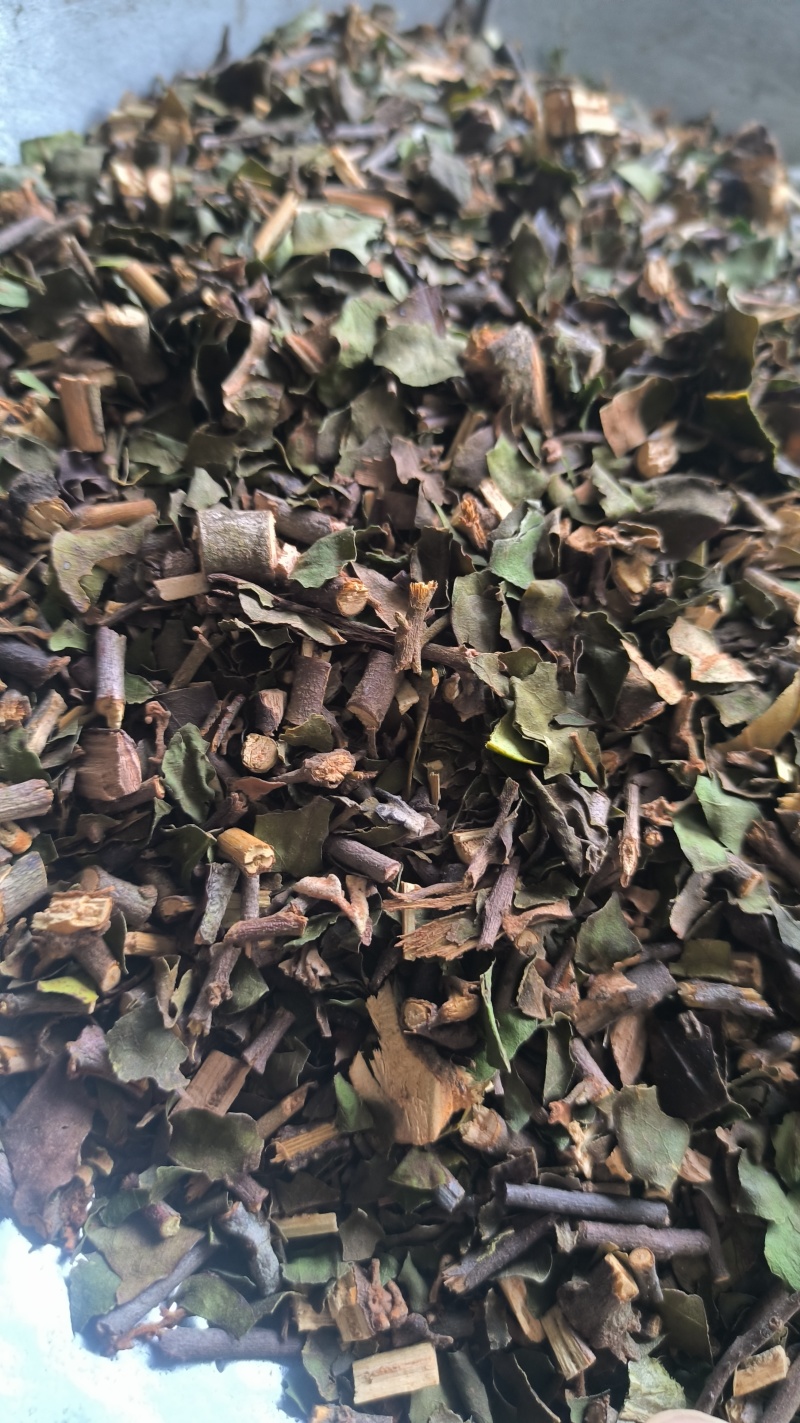 桑寄生中药材批发桑寄生质量保证量大从优