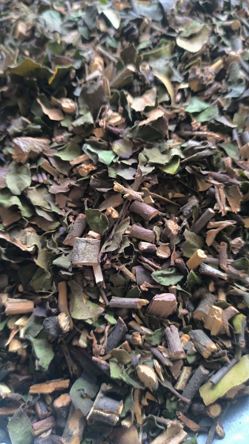 桑寄生中药材批发桑寄生质量保证量大从优