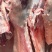 羊白条，冷鲜羊肉，草原散养的好羊肉，肉质鲜嫩