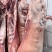 羊白条，冷鲜羊肉，草原散养的好羊肉，肉质鲜嫩
