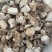 【电商专用】云南深山野生带皮茯苓，无熏蒸，拒绝假冒