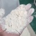 河北衡水，富硒面粉，劲道，量大从优