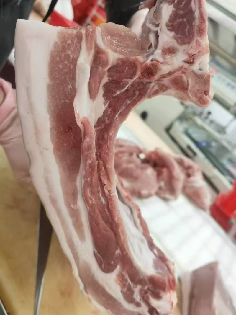 肥猪中段