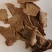花生饼饲料原料种植养殖全国发货质量保证