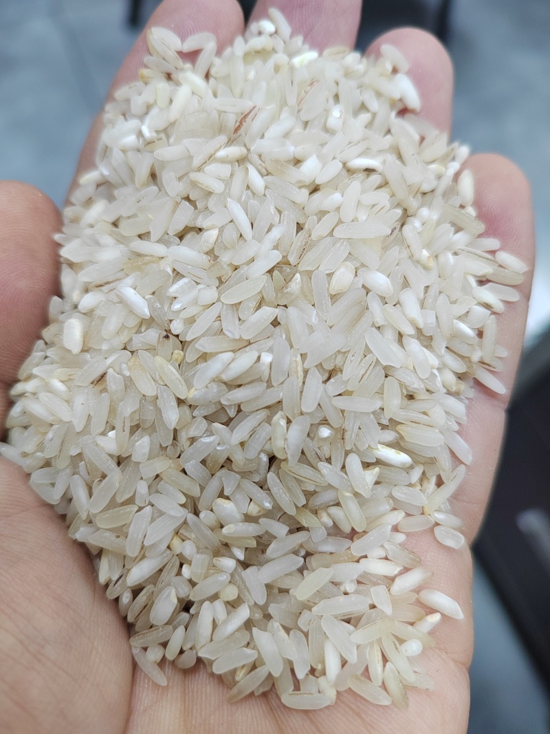 新打饲料米粗加工米新加工颜色好气味好酿酒饲料