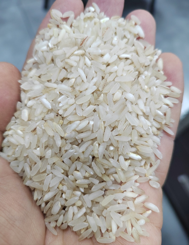 新打饲料米粗加工米新加工颜色好气味好酿酒饲料