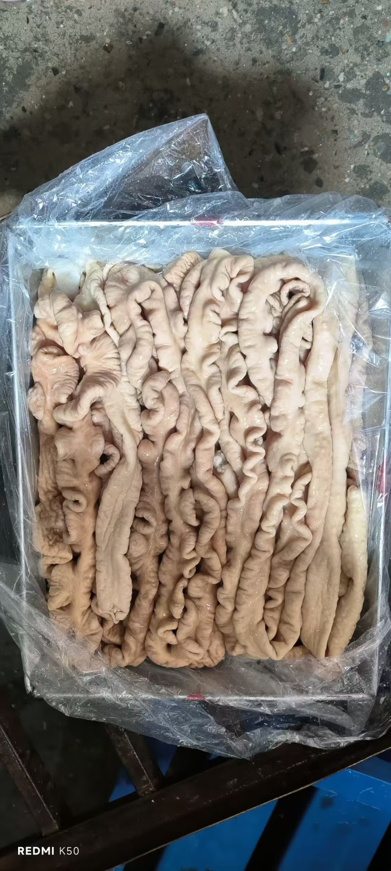 预煮大肠去油85左右