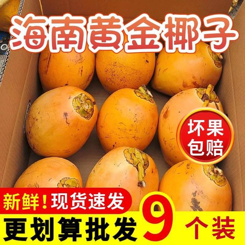 海南三亚黄金椰批发代发全国全年