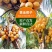 海南三亚黄金椰批发代发全国全年