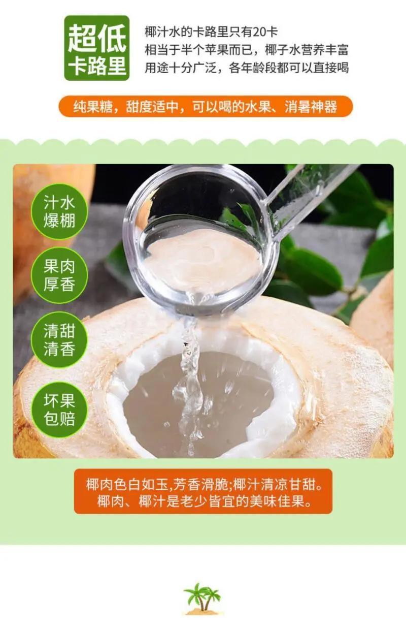 海南三亚黄金椰批发代发全国全年
