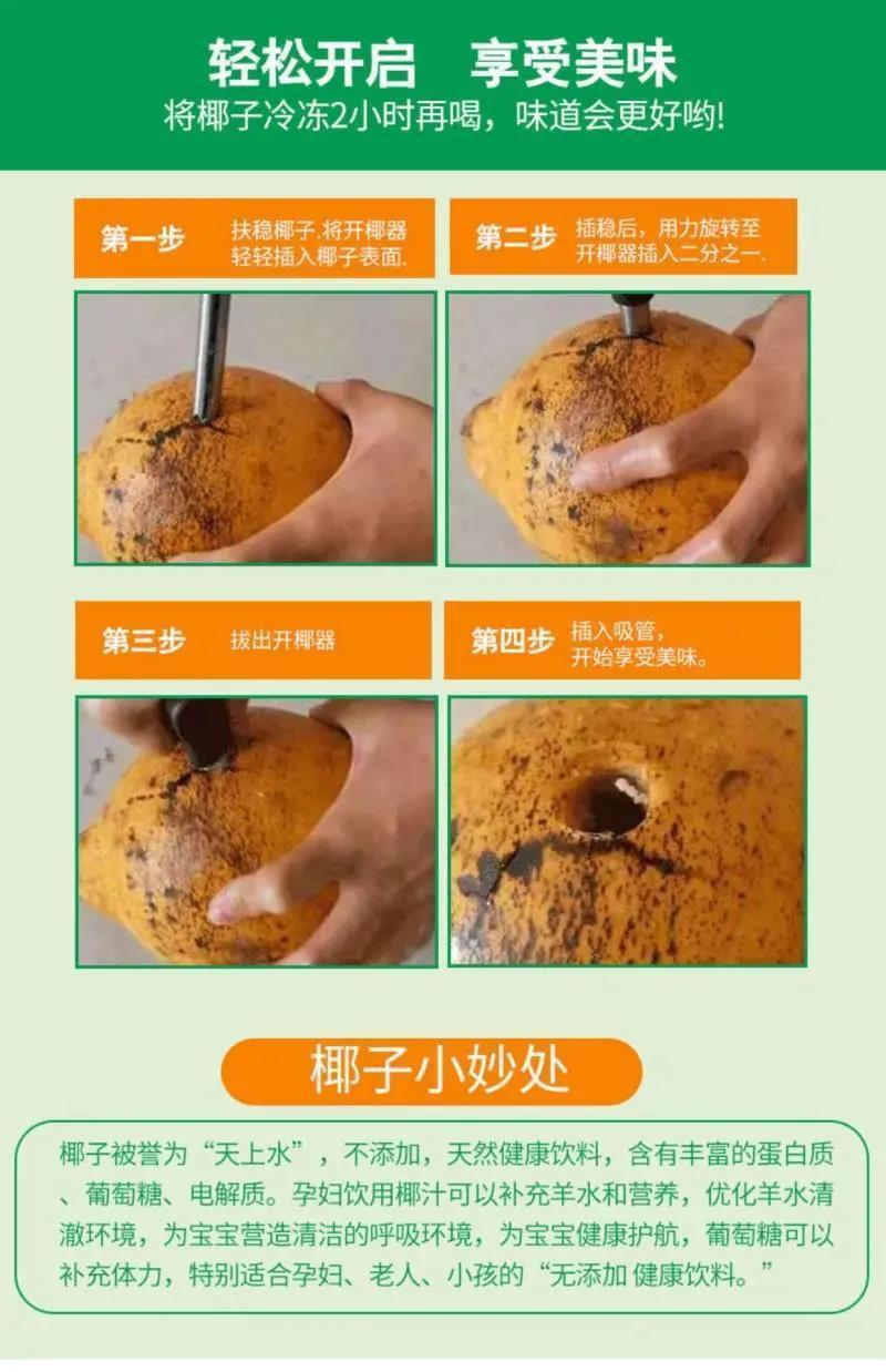 海南三亚黄金椰批发代发全国全年