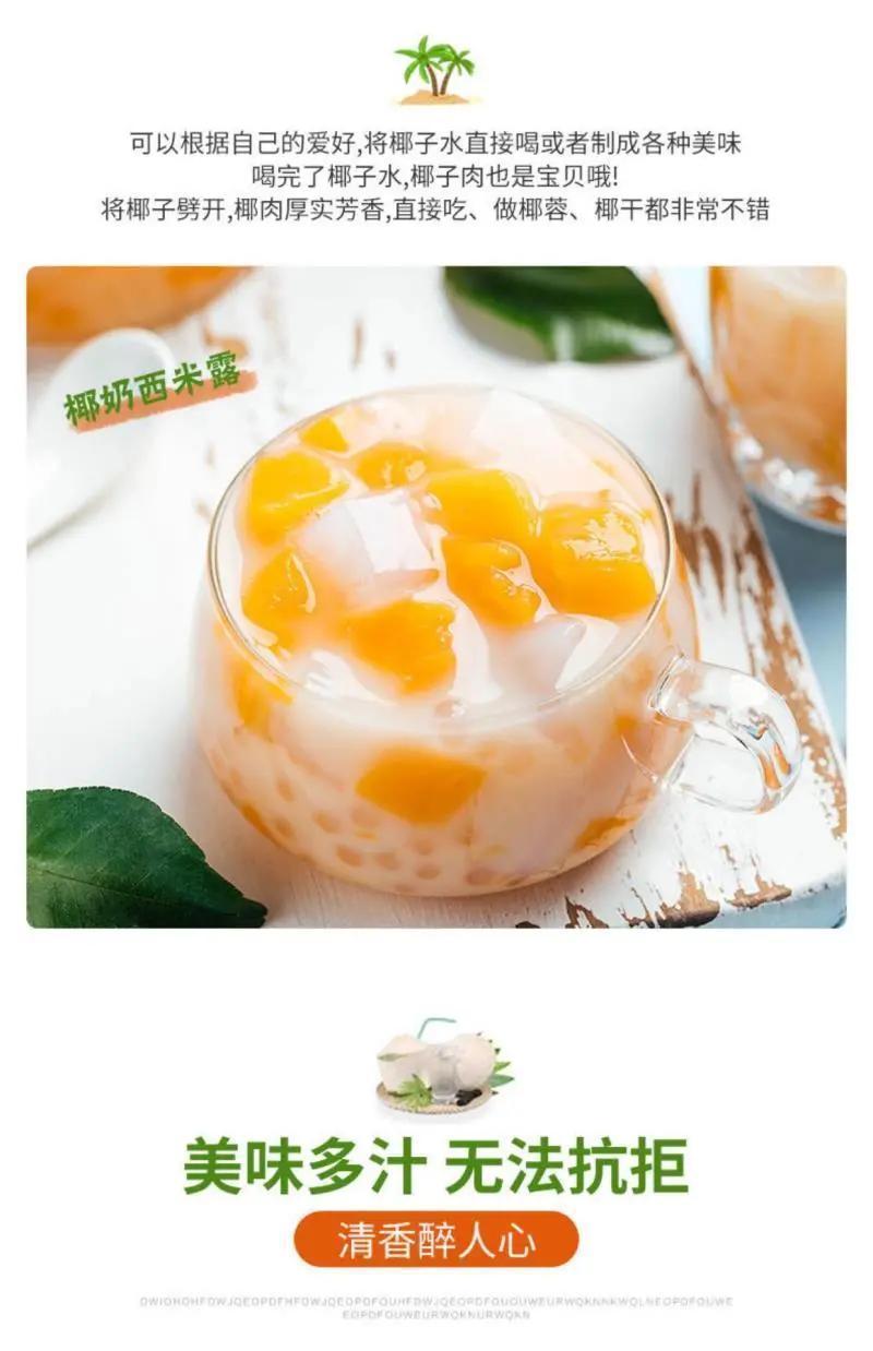 海南三亚黄金椰批发代发全国全年