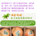 海南三亚黄金椰批发代发全国全年