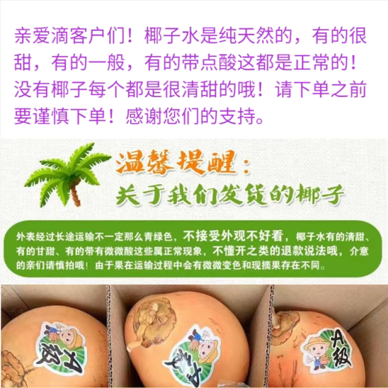 海南三亚黄金椰批发代发全国全年