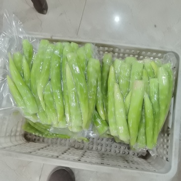 莴苣