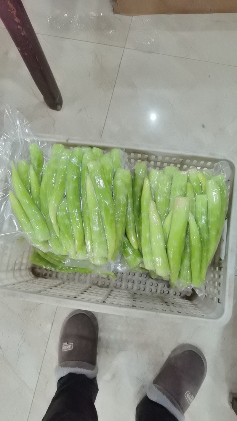 莴苣