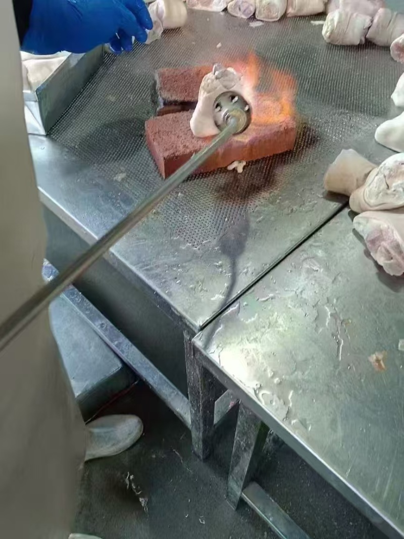 国产猪脚圈7-8两左右
