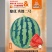 美都西瓜种子，防裂果抗水晶货品率高商品性好高端美都