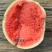 美都西瓜种子，防裂果抗水晶货品率高商品性好高端美都
