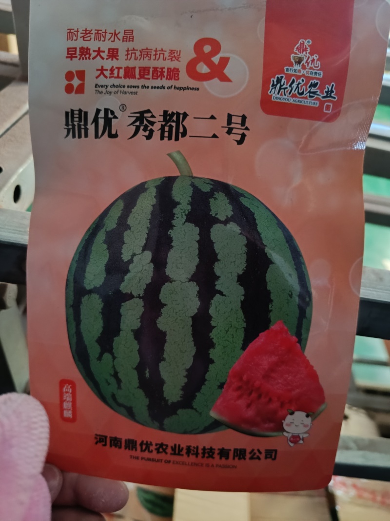 美都西瓜种子，防裂果抗水晶货品率高商品性好高端美都