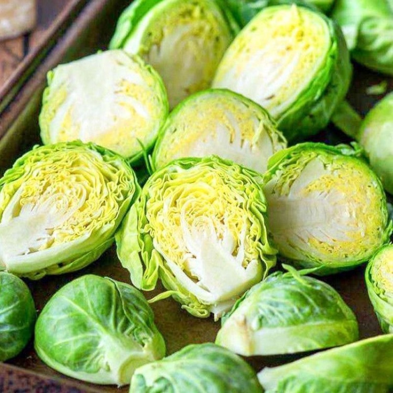 【推荐】邯郸精品甘蓝圆包菜价格美丽货源充足
