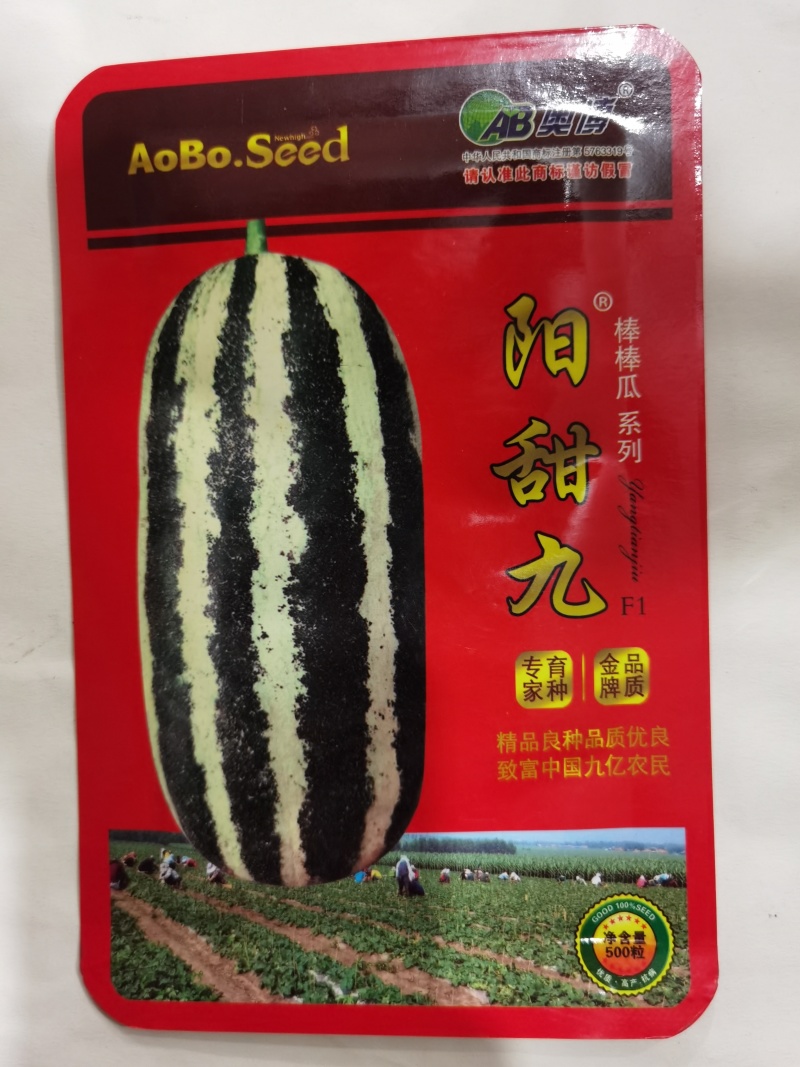 高糖薄皮甜瓜种黄花蜜阳甜九青甜二号早熟口感香甜耐运