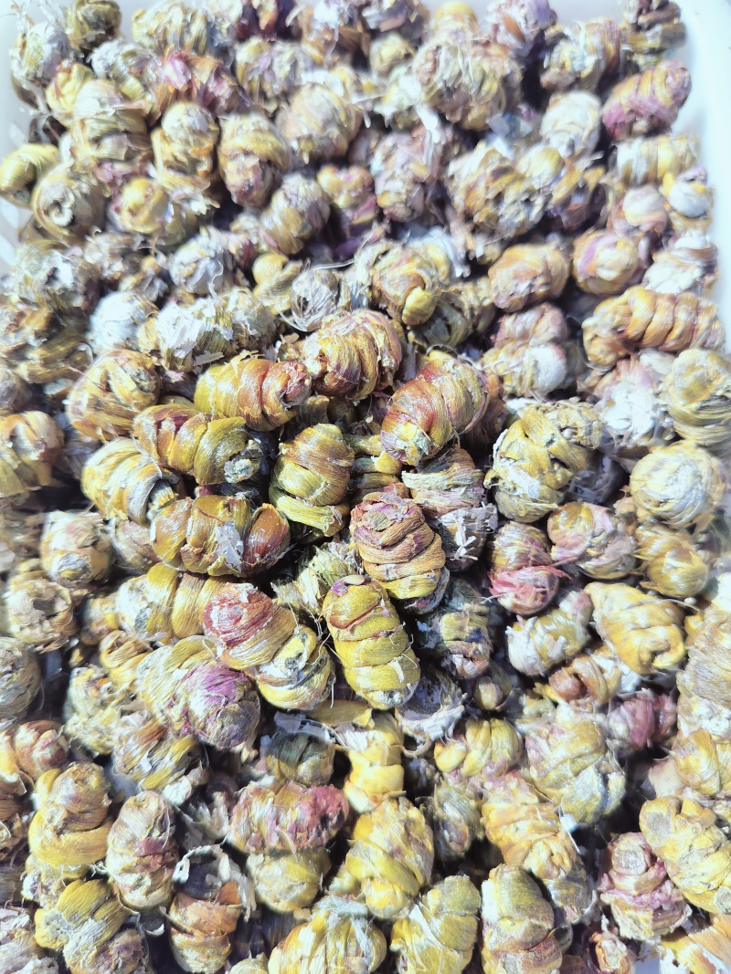 云南铁皮石斛，干条大量现货，全化渣一手货源，品质保证