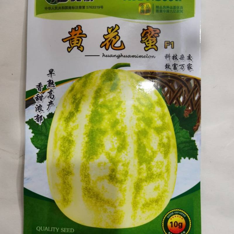 高糖薄皮甜瓜种黄花蜜阳甜九青甜二号早熟口感香甜耐运