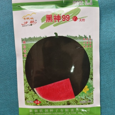 黑神99纯黑皮无籽西瓜子不空心35天成熟亩产12000