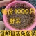 黑壳虾草缸清洁虾乌龟龙鱼饲料除藻虾观赏虾工具虾草虾活体虾