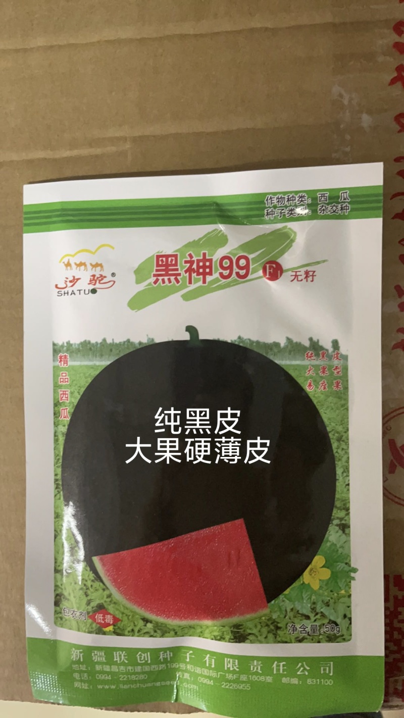 黑神99纯黑皮无籽西瓜子不空心35天成熟亩产12000