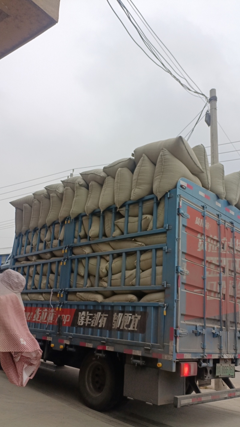 稻壳河南新乡米厂大货常年有货，编织袋袋装上车