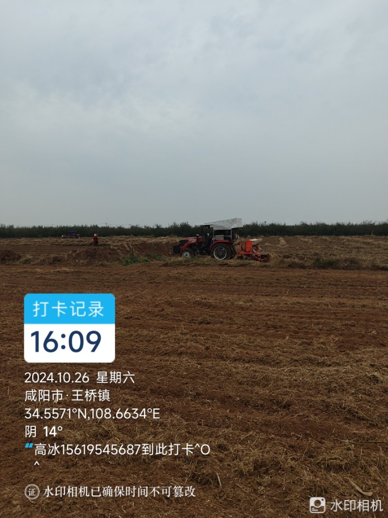 平地，水浇地，非基本农田，荒地，水电齐全，交通方种植养殖