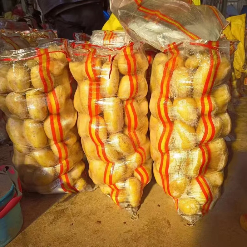 土豆沃土产地直供大量有货品质保证