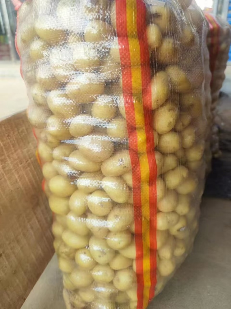 土豆沃土产地直供大量有货品质保证