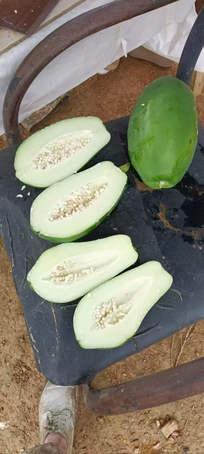 大青红肉广西水果木瓜冰糖矮化红心四季当年种植当年结果超矮