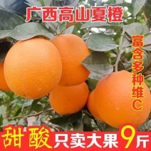 【只卖大果】广西桂林蜜橙夏橙脐橙新鲜当季蜂蜜橙冰糖橙子水