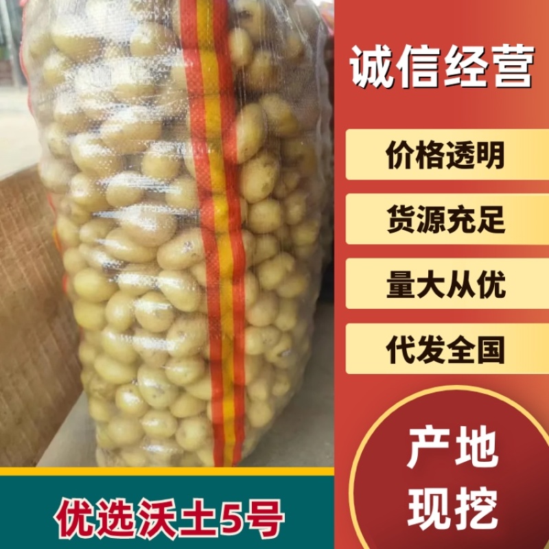 土豆沃土产地直供大量有货品质保证