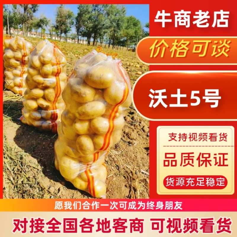 土豆沃土产地直供大量有货品质保证