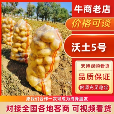 土豆沃土产地直供大量有货品质保证