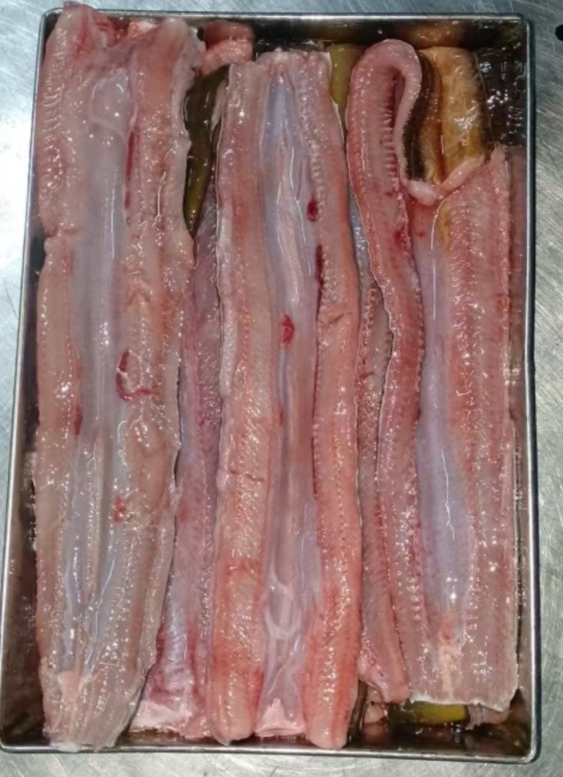 孟加拉黄鳝，好吃，味道好
