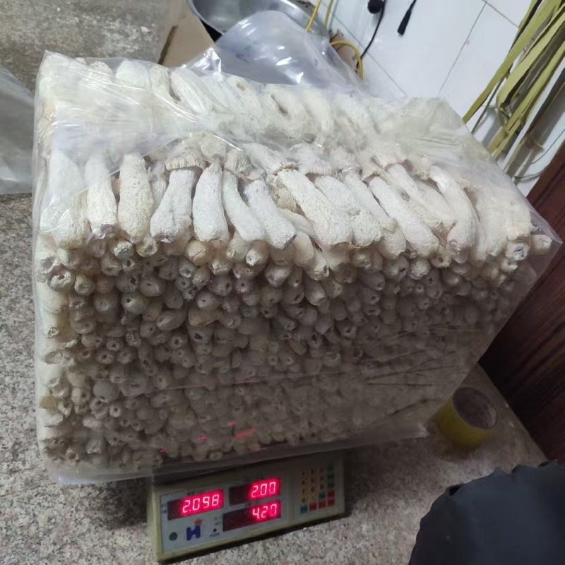精选高品质竹荪竹荪蛋竹荪杆规格多多品质保障讲诚信