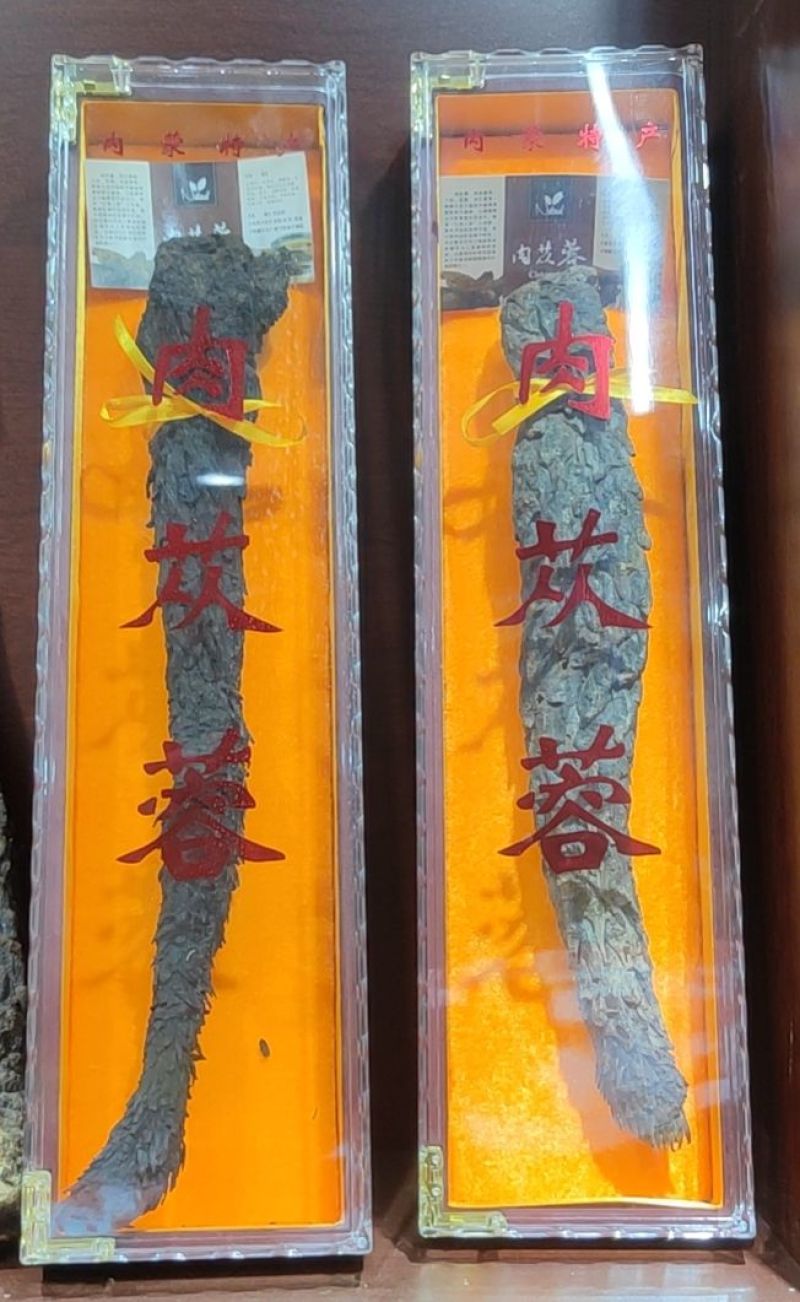 纯软质肉苁蓉大芸高原佳品泡酒必备良品