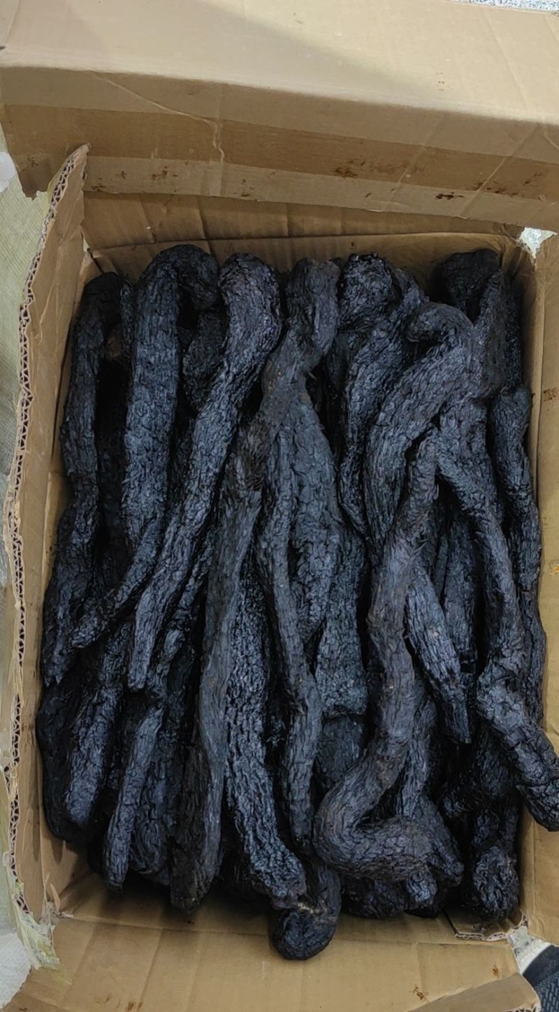 纯软质肉苁蓉大芸高原佳品泡酒必备良品