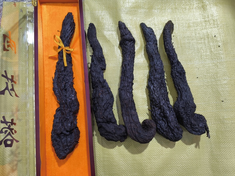 纯软质肉苁蓉大芸高原佳品泡酒必备良品